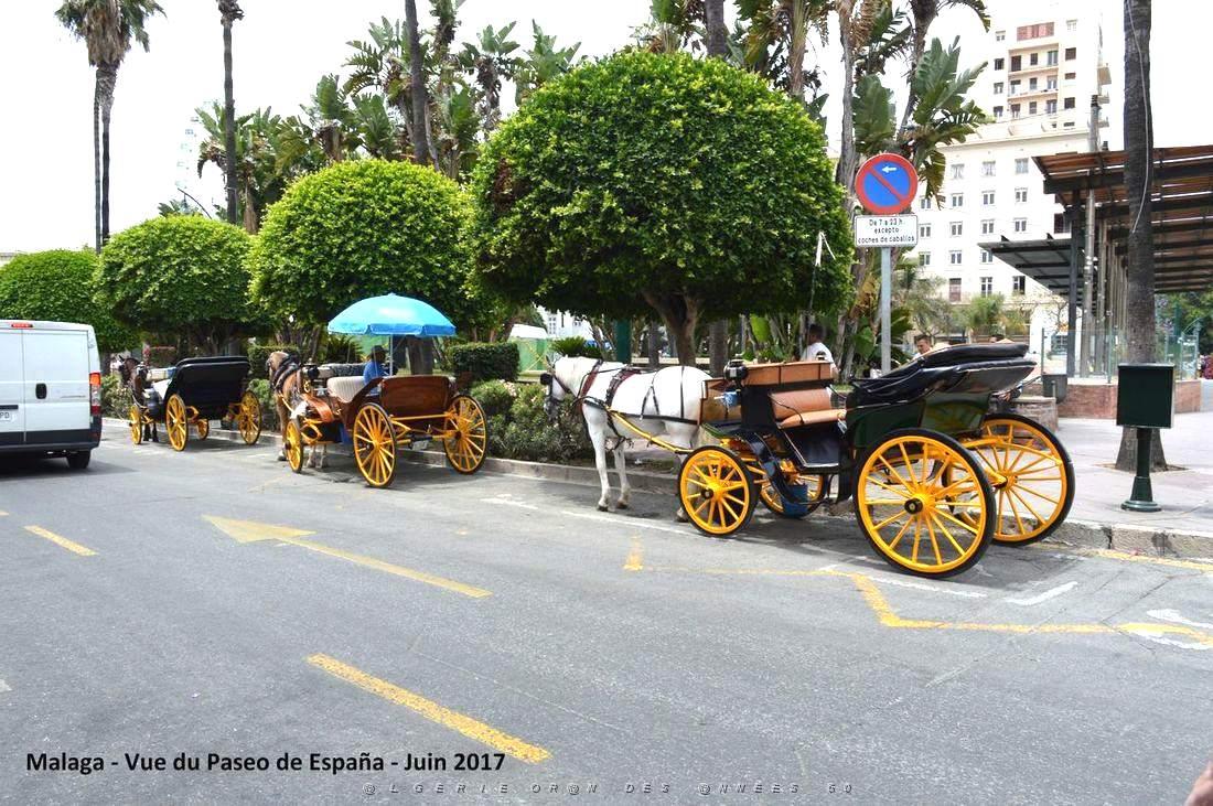 259- Malaga paseo de Espana.JPG
